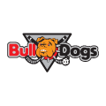 itelligence Bulldogs Brno